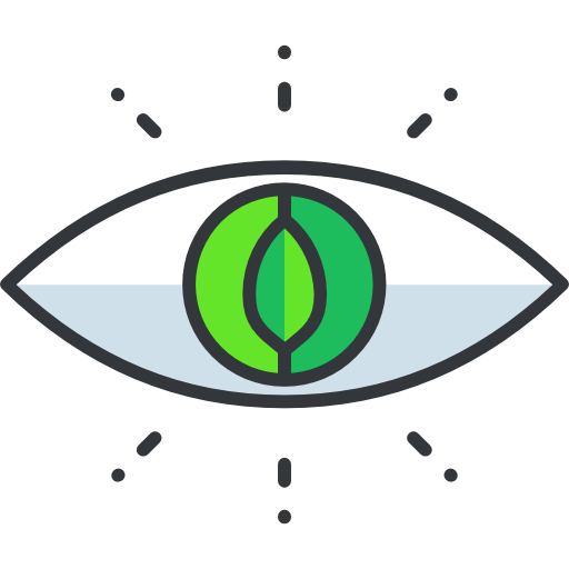 Vision Icon